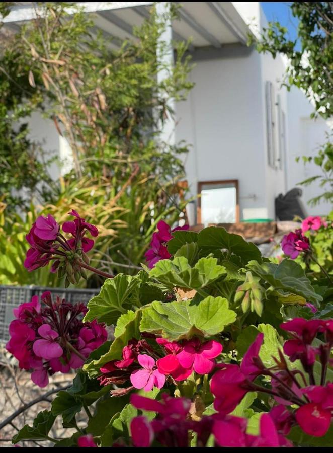 Mykonos TownAlesta公寓 外观 照片